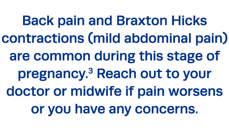 Back pain and Braxton Hicks contractions (mild abdominal pain) are common during this stage of pregnancy 3 Reach out    